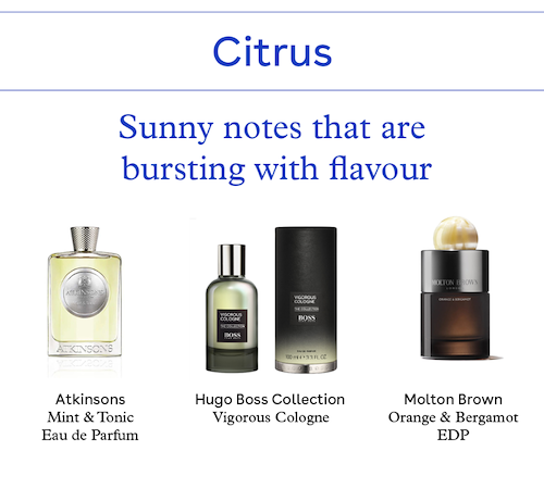 Shop citrus scents