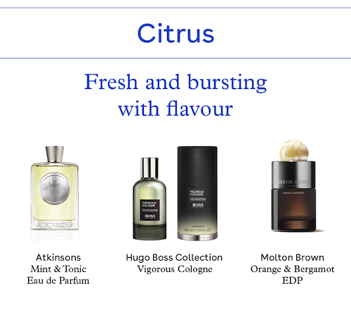 Shop Citrus Scents