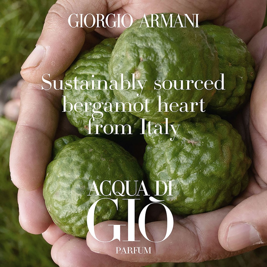 Acqua Di Gio Homme Parfum Refillable