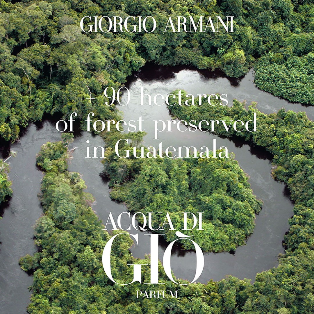 Acqua Di Gio Homme Parfum Refillable