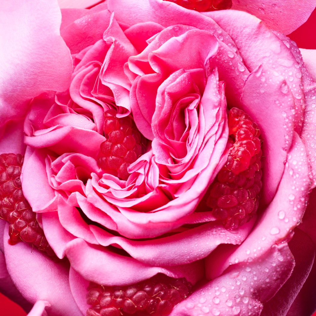 Allegra Fiori D Amore EDP