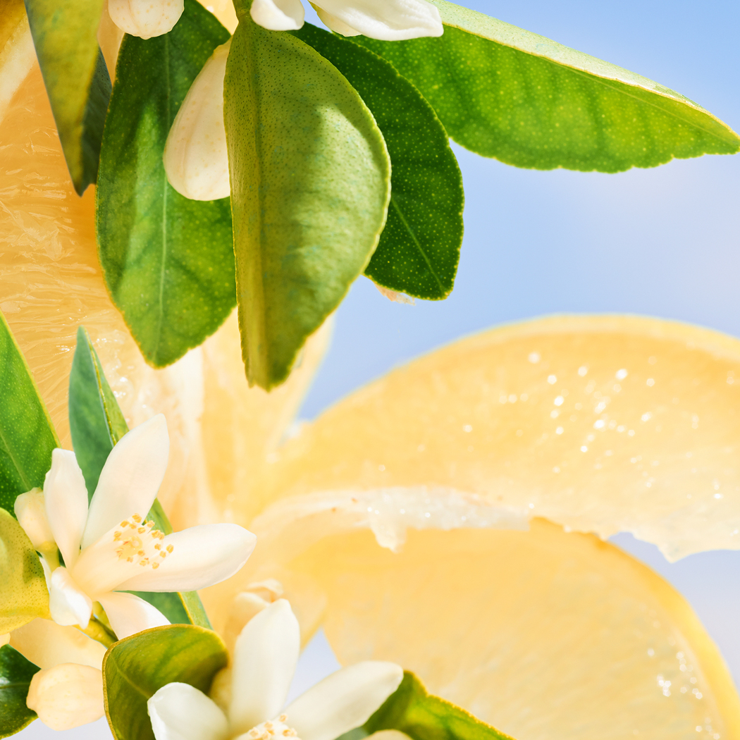 Allegra Riva Solare EDP