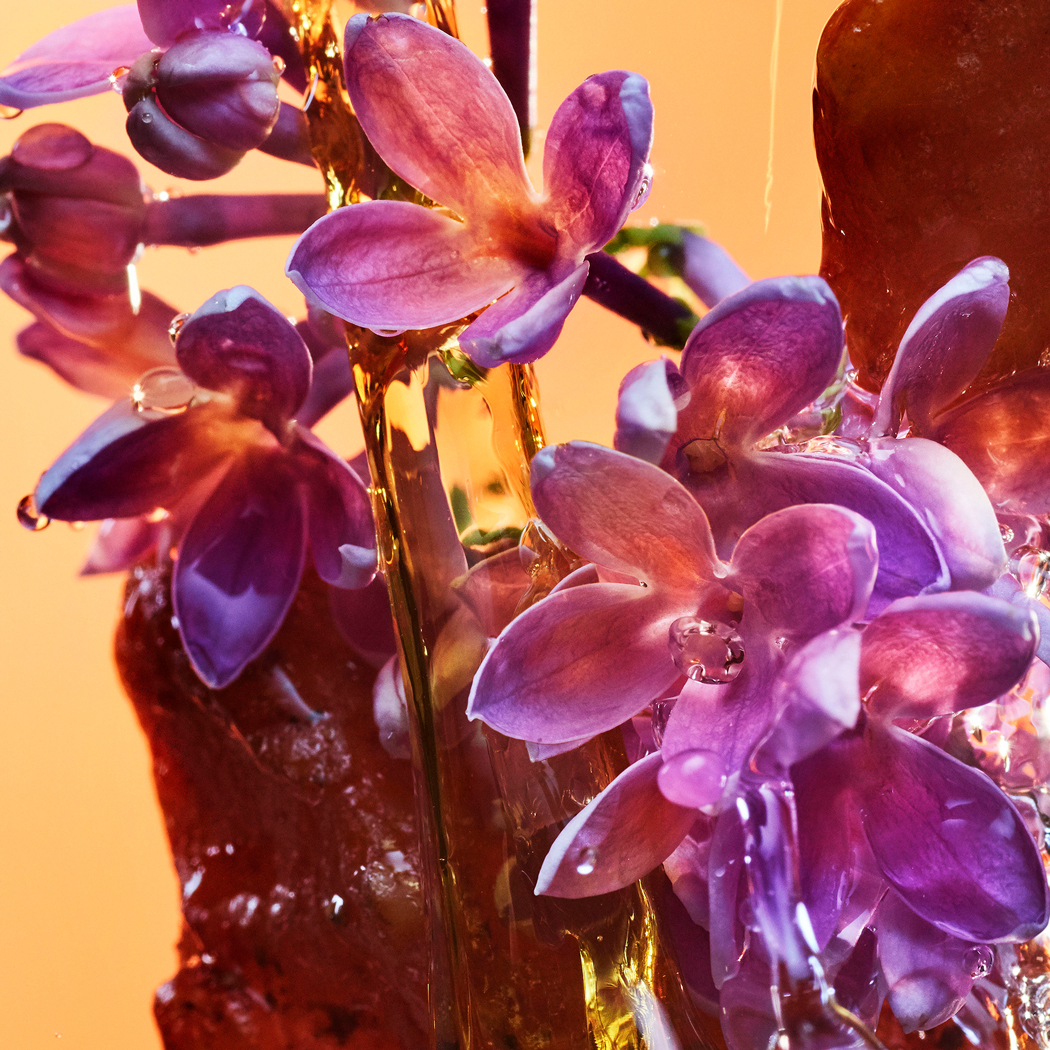 Allegra Rock n Rome EDP Allegra Rock n Rome EDP