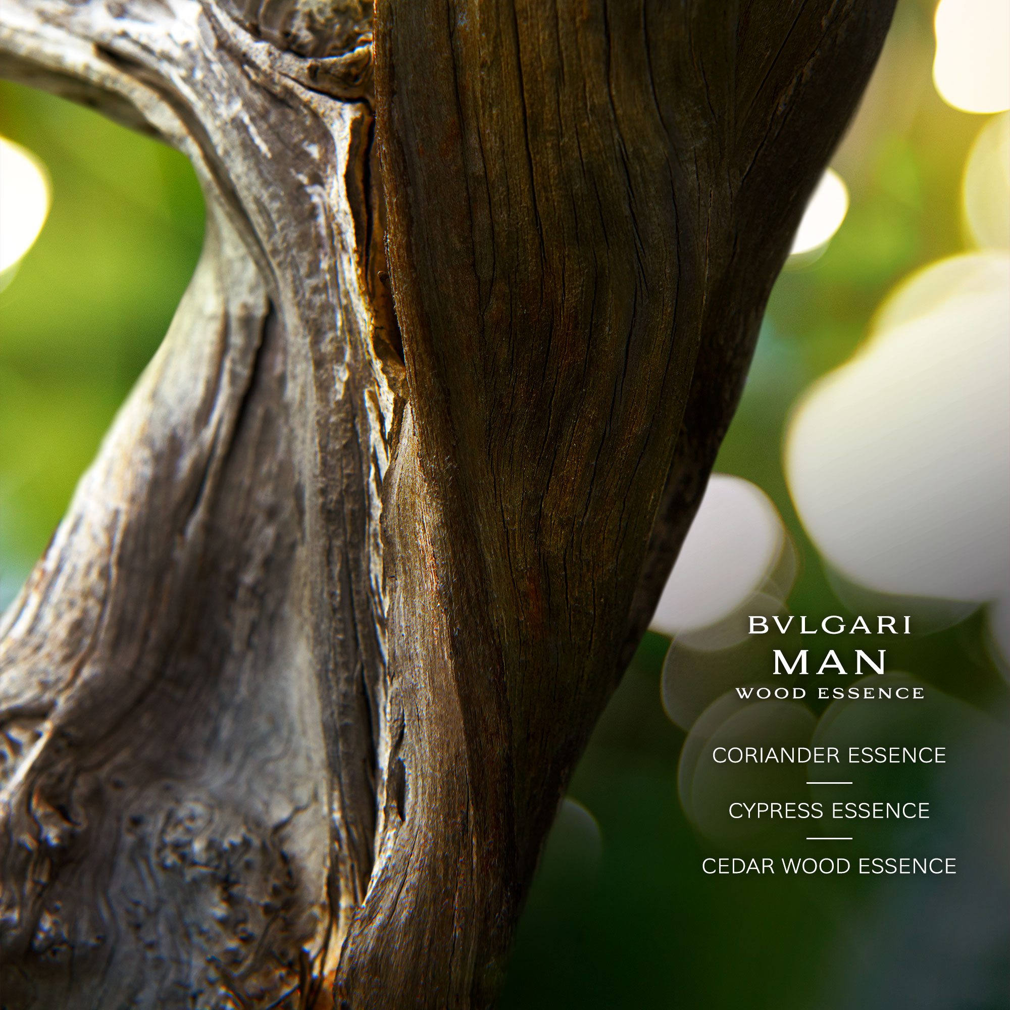 Man Wood Essence Eau de Parfum