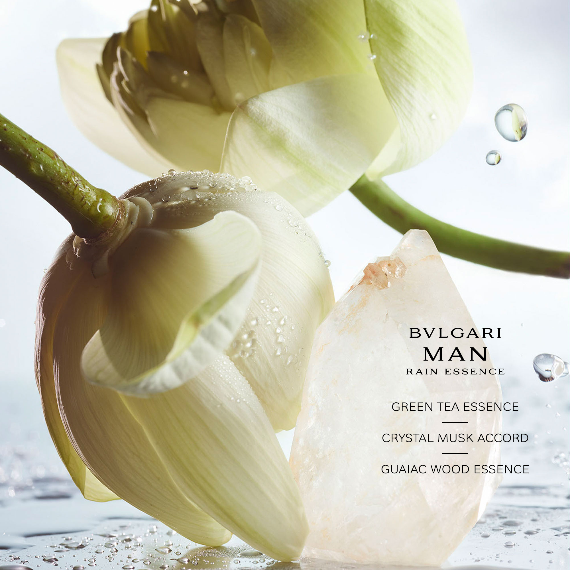Man Rain Essence Eau de Parfum