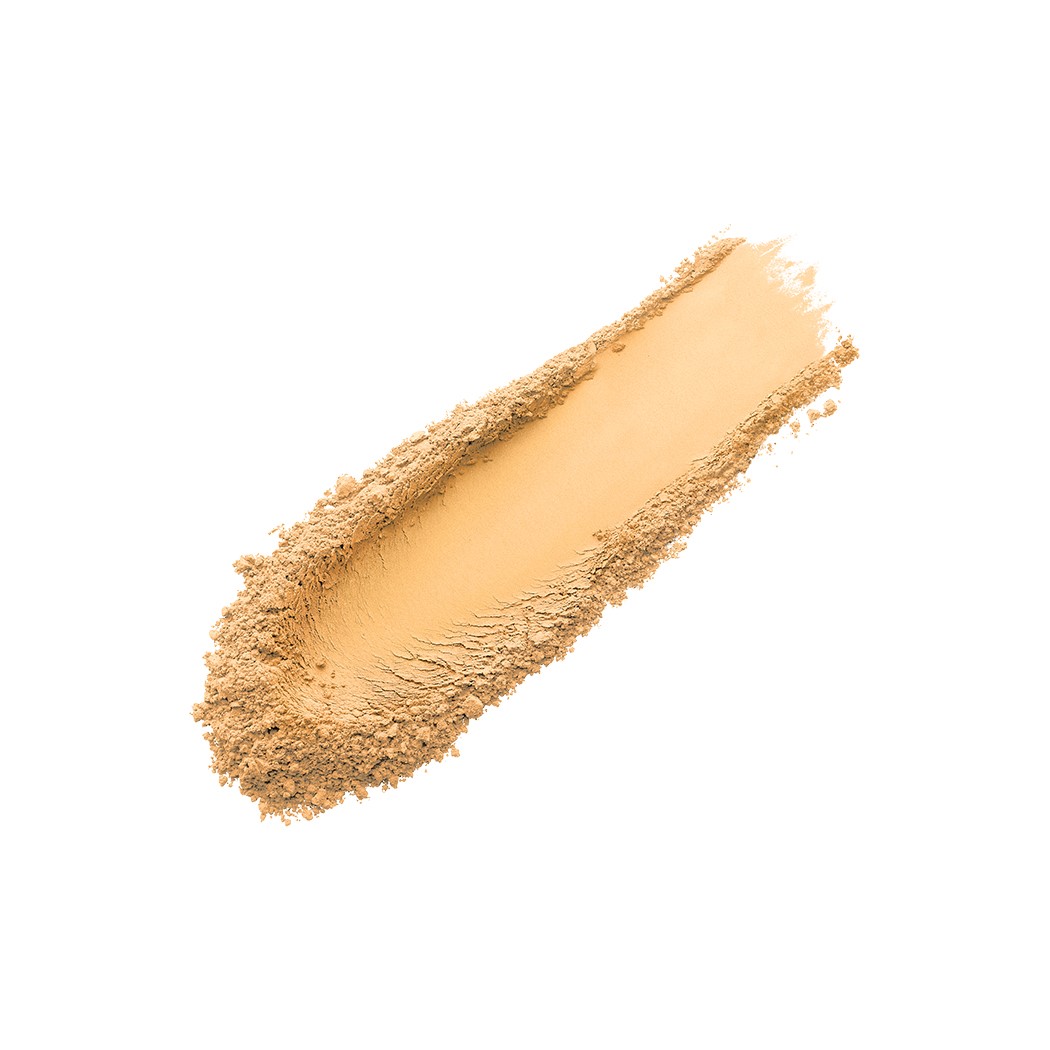 Pro Filt'R Instant Retouch Setting Powder