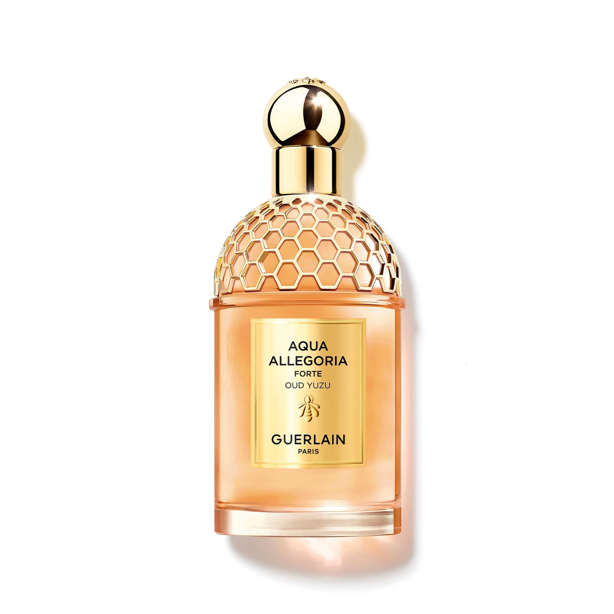 Aqua Allegoria Forte Oud Yuzu EDP Aqua Allegoria Forte Oud Yuzu EDP
