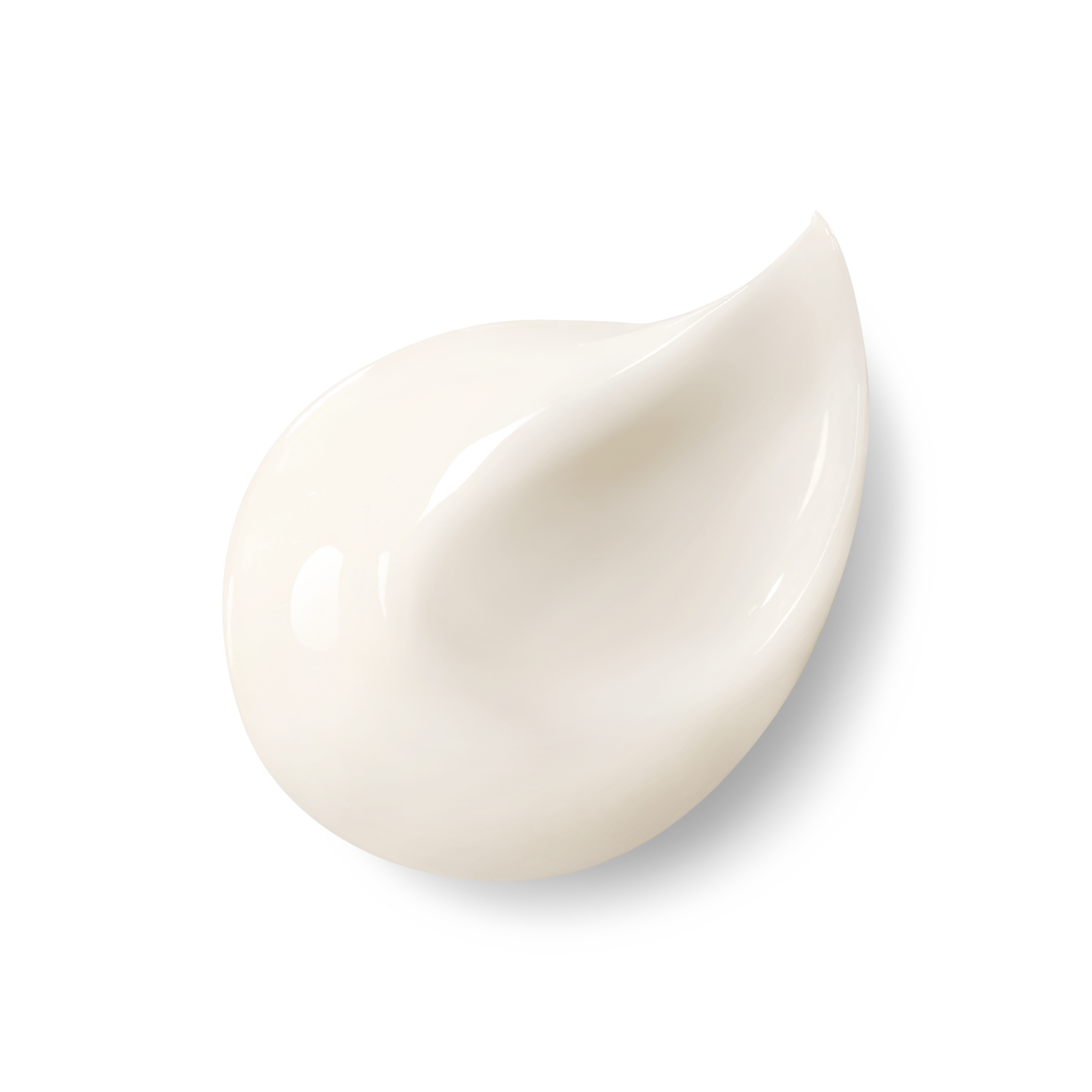 Orchidee Imperiale The Rich Cream Orchidee Imperiale The Rich Cream