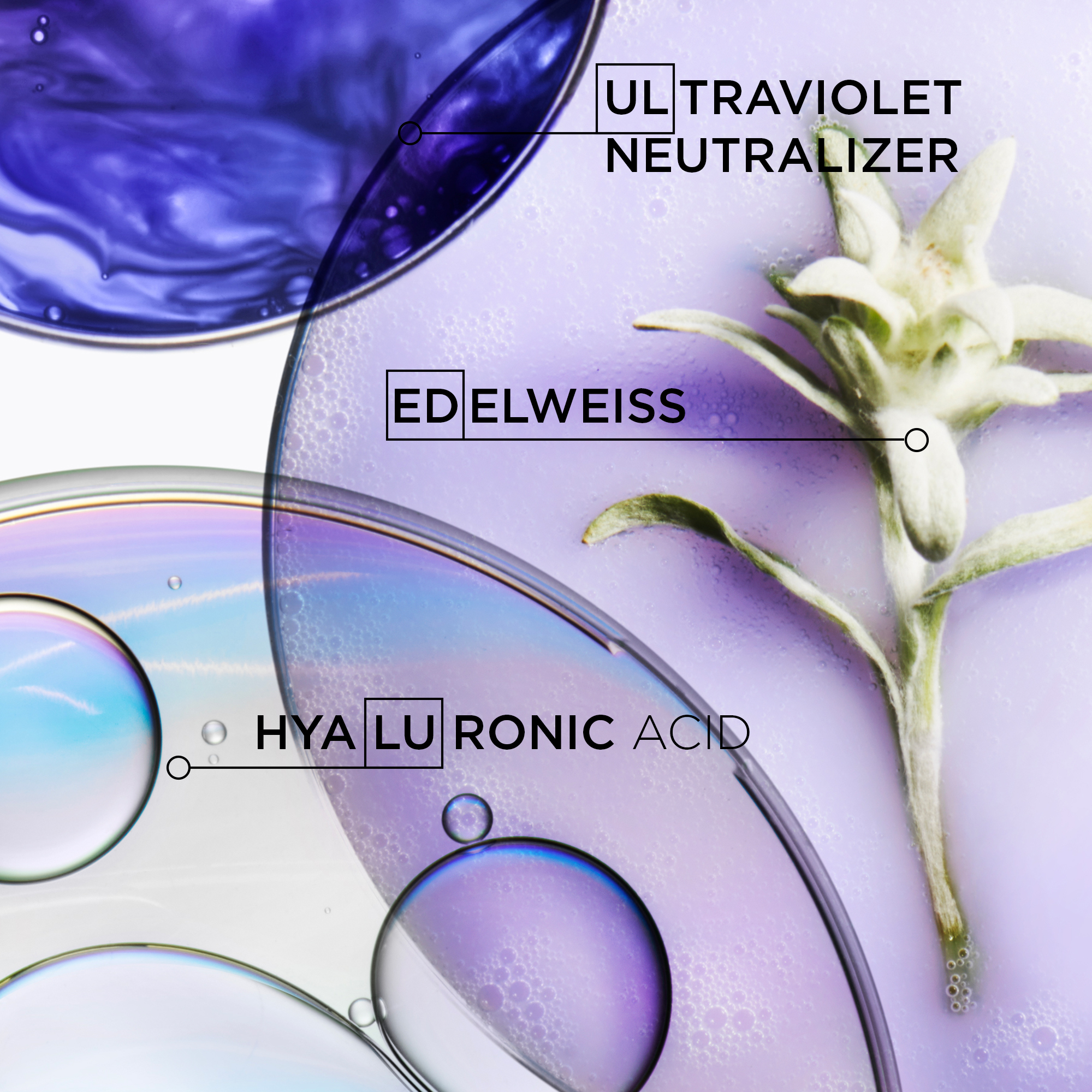Blonde Absolu Bain Ultra-Violet