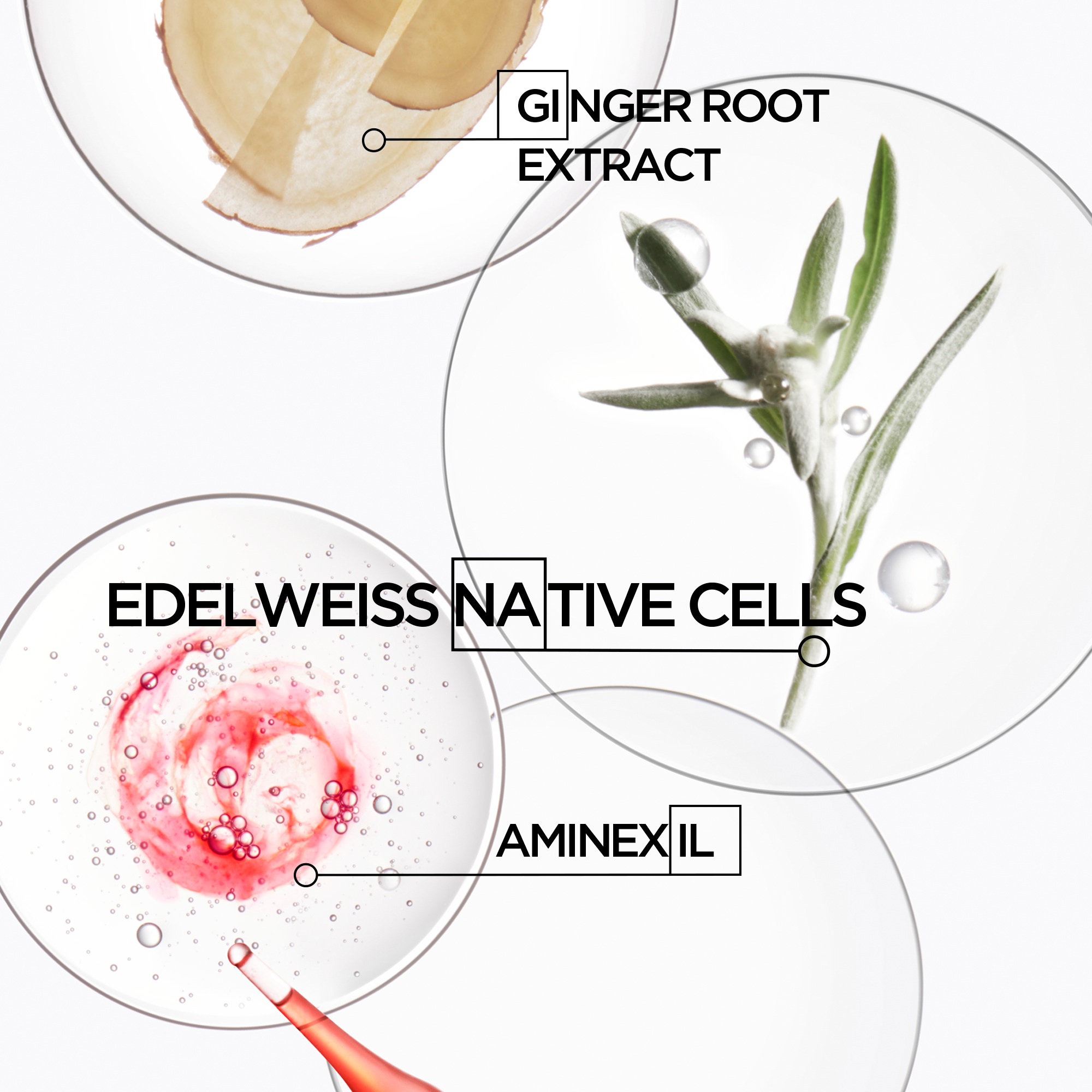 Genesis Anti Hair-fall Fortifying Serum