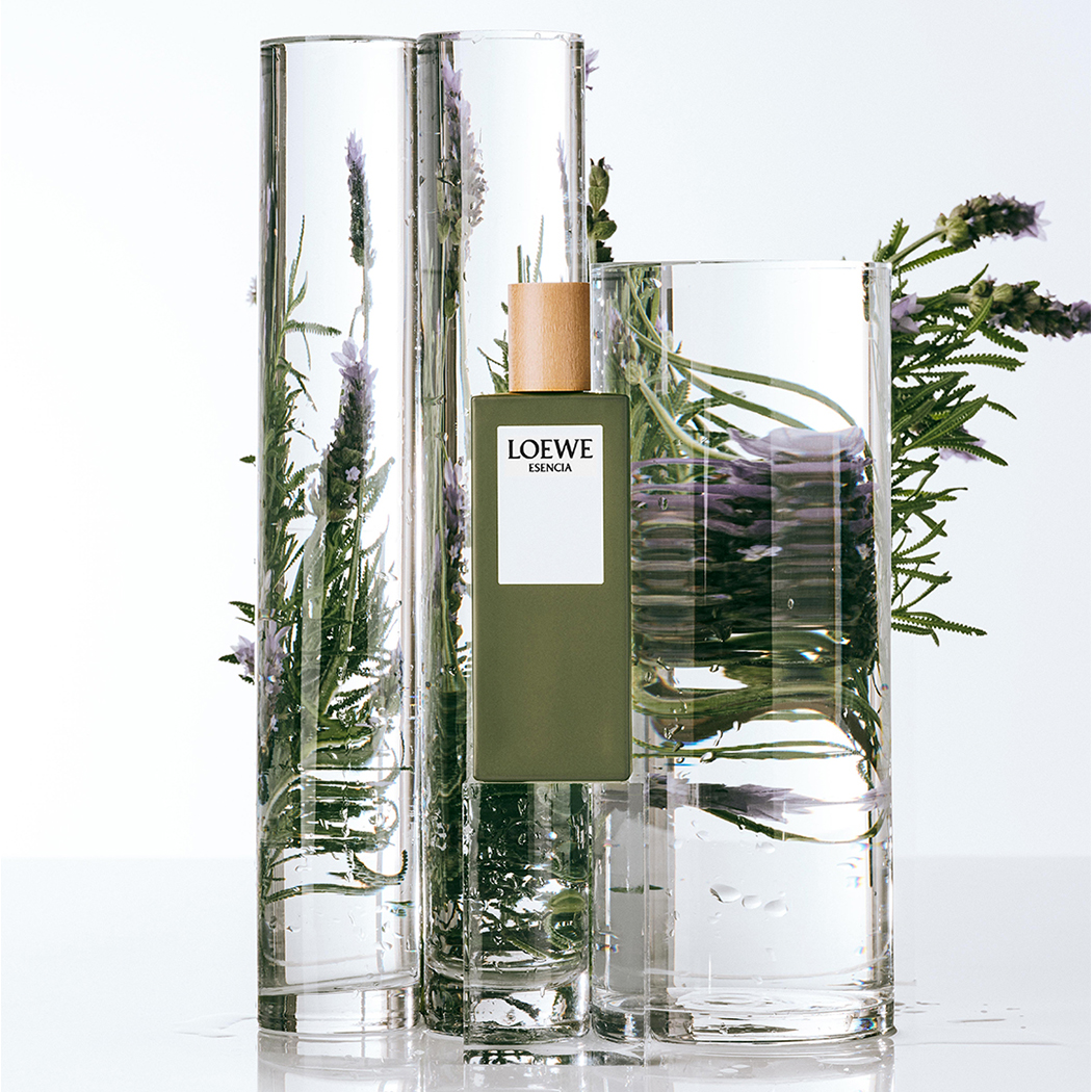 Loewe Fragrance Botanical Rainbow