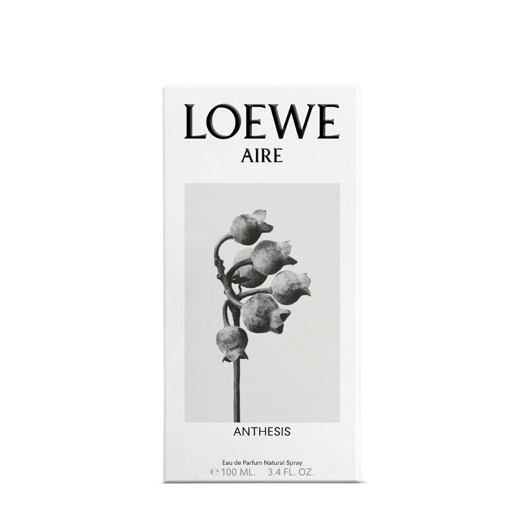 Aire Anthesis EDP