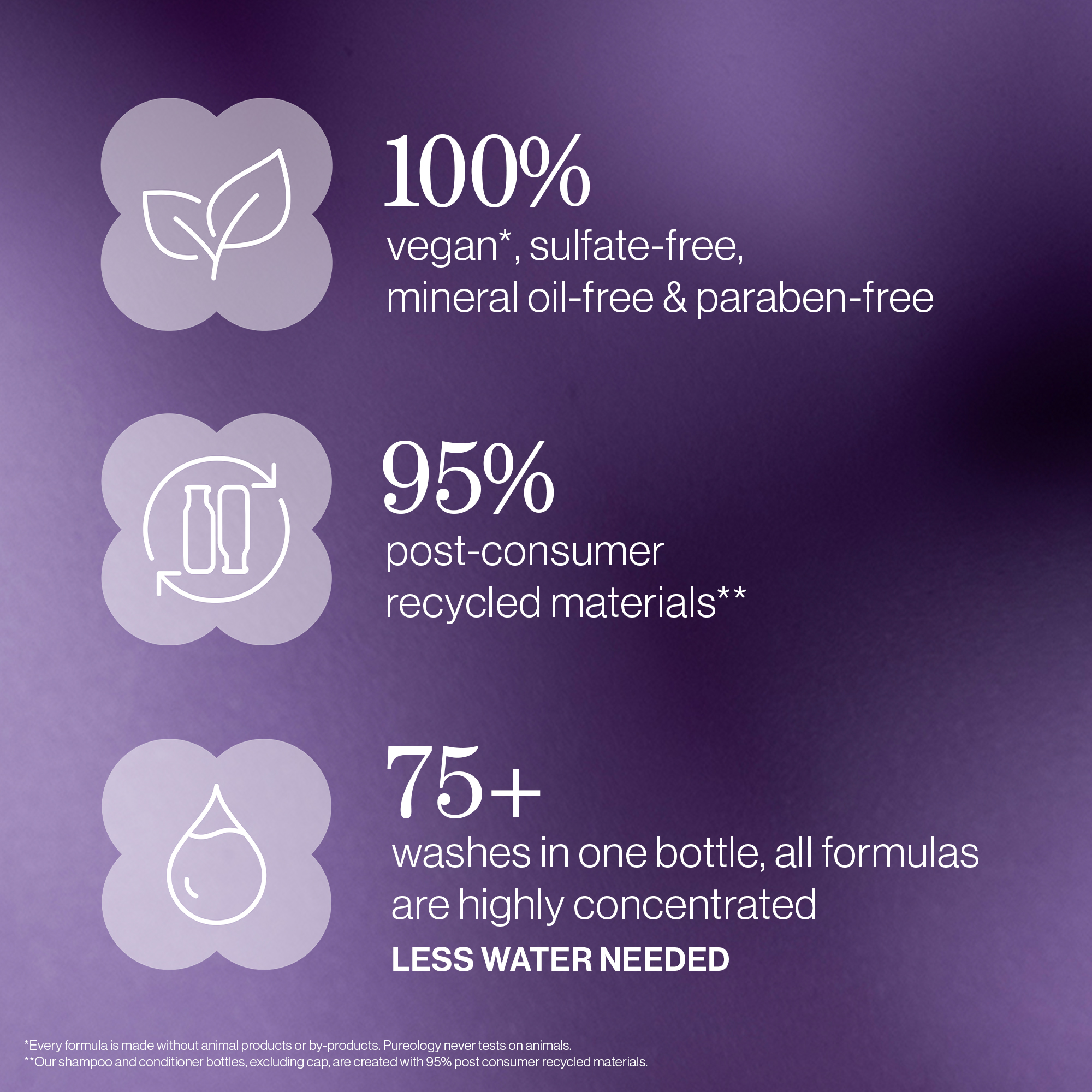 Hydrate Shampoo