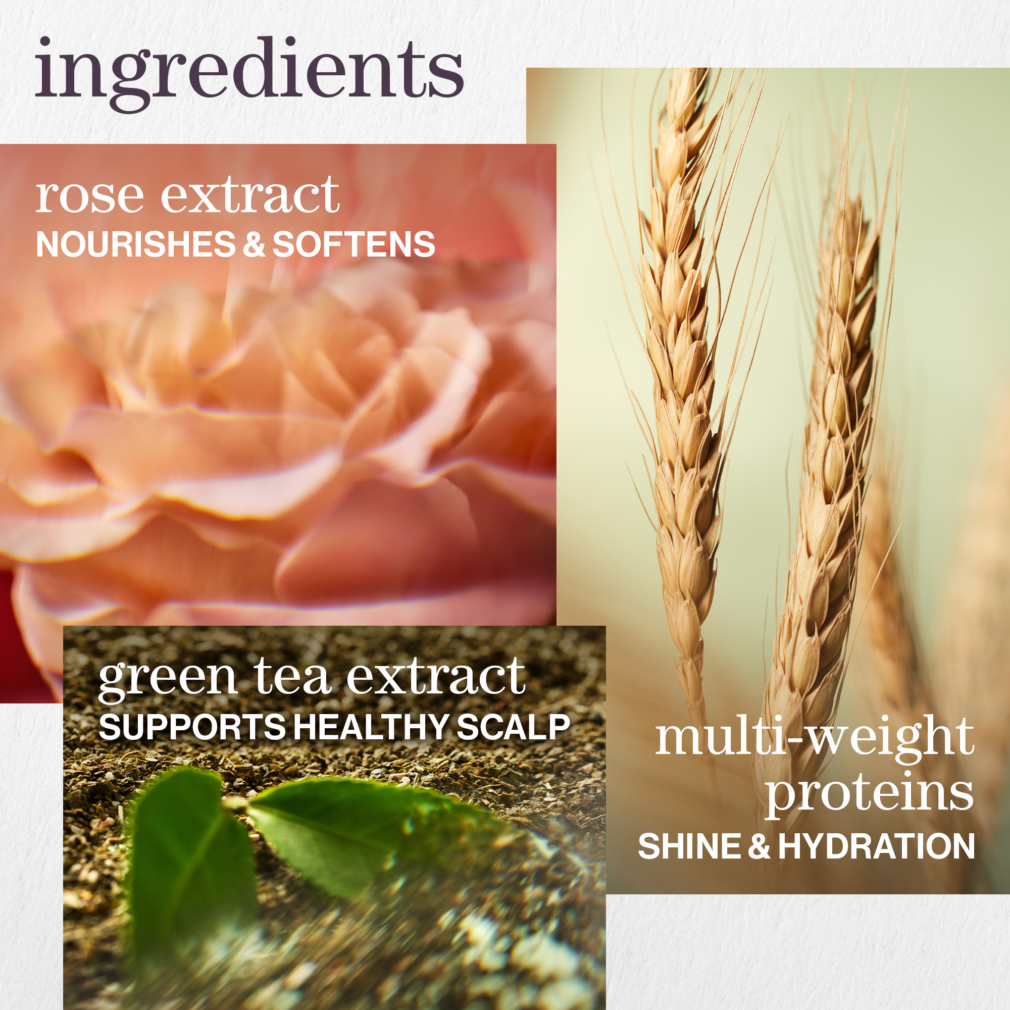 Hydrate Superfood Treatment