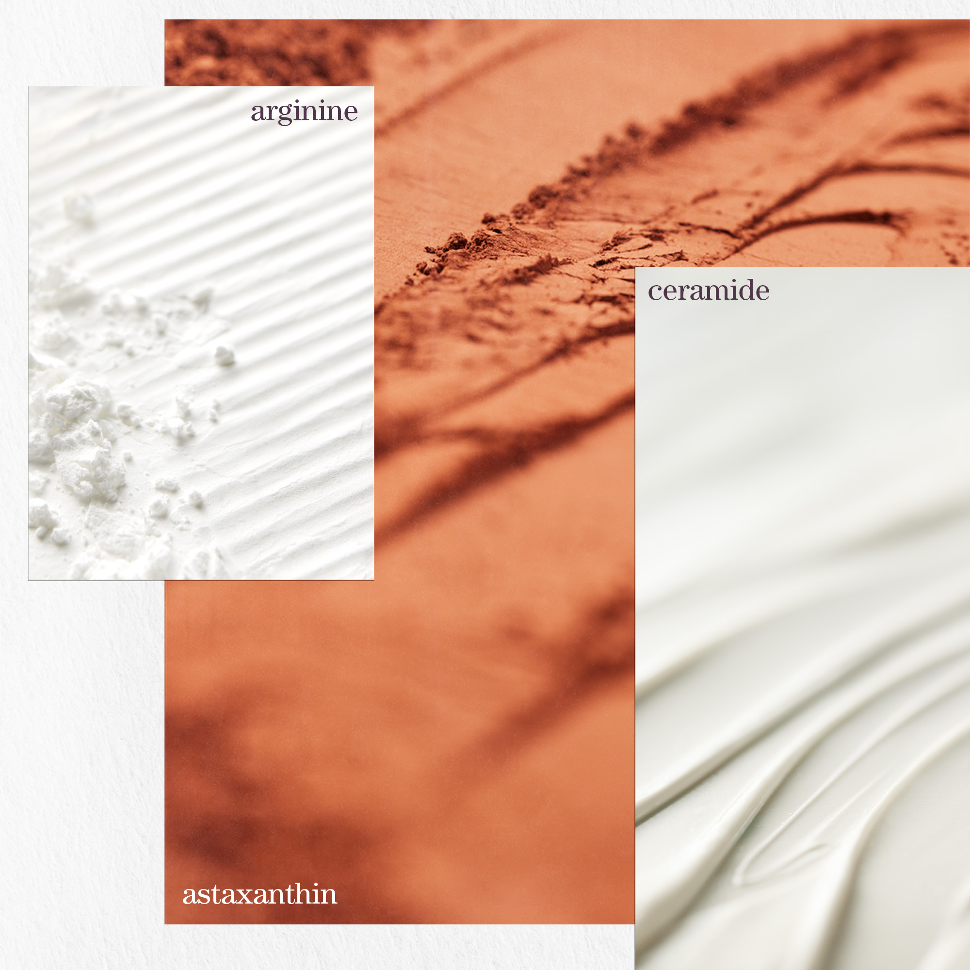 Strength Cure Best Blonde Shampoo