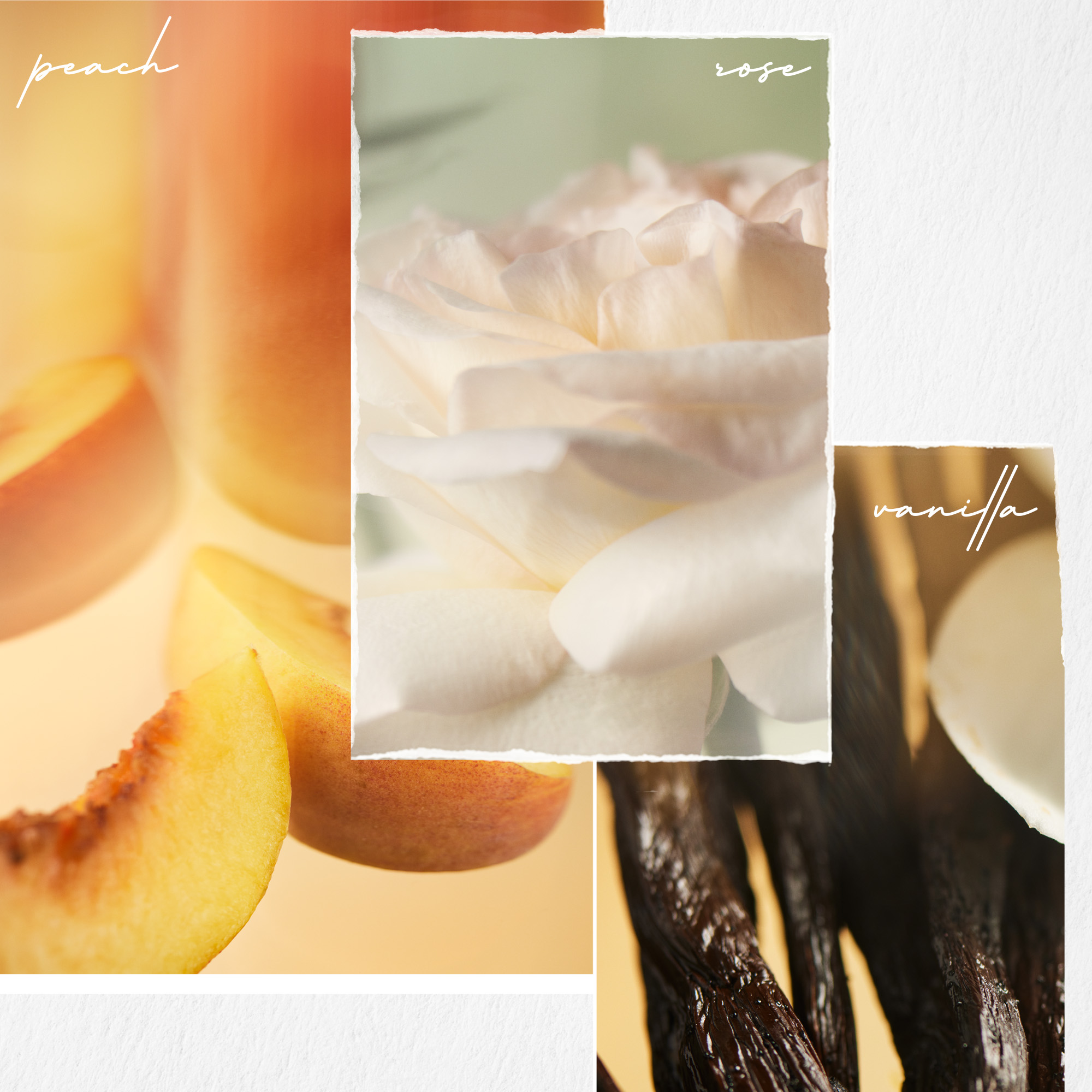 Strength Cure Best Blonde Shampoo