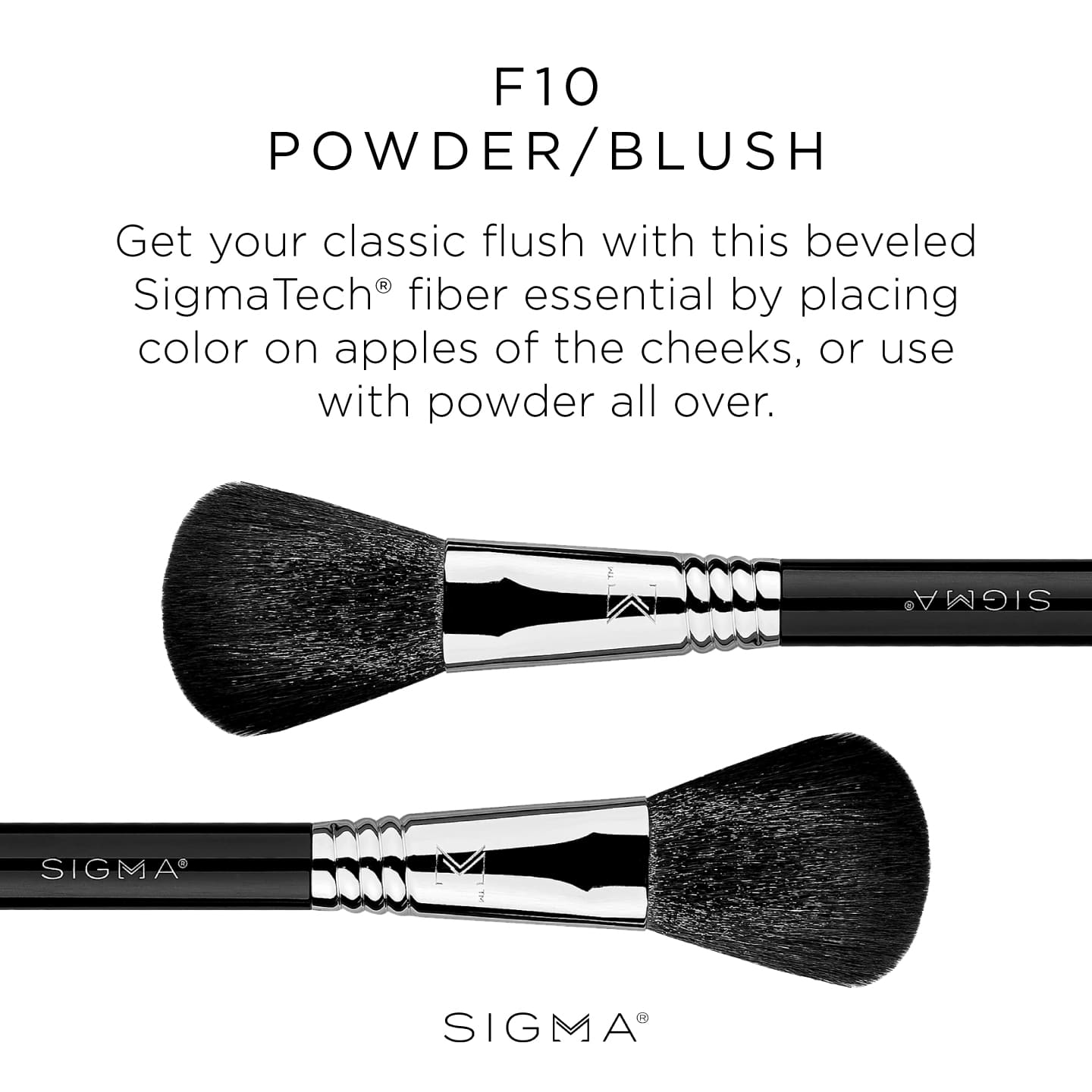 F10 Powder/Blush Brush