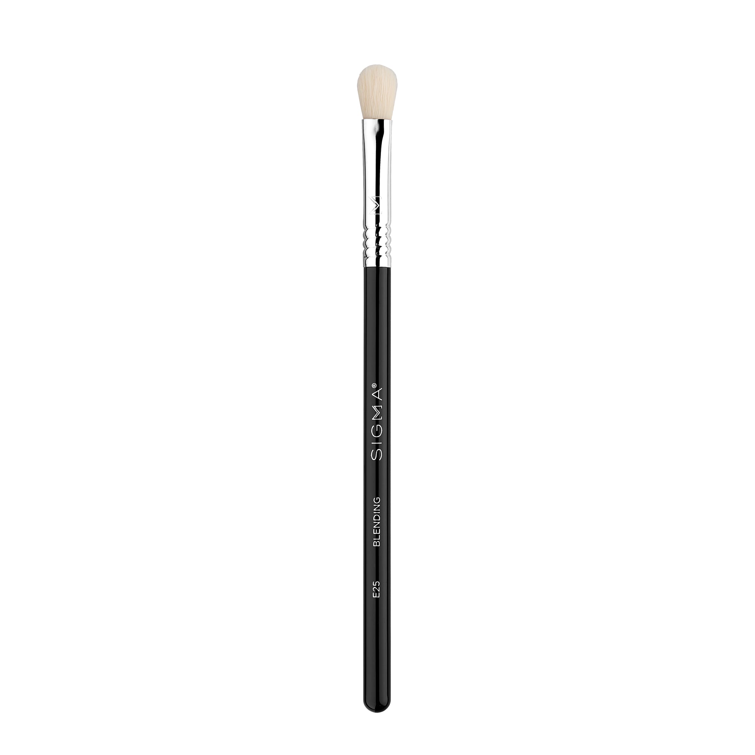 E25 Blending Brush